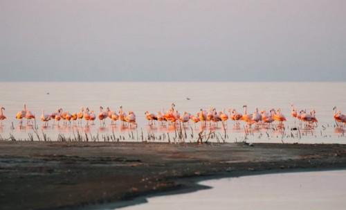 Cinco experiencias en el nuevo Parque Nacional Ansenuza